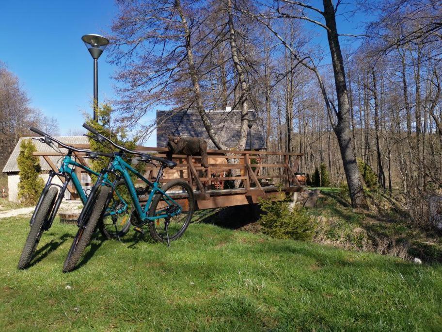 Vodenica Vrelo Chalets Vrelo Koreničko Exterior foto