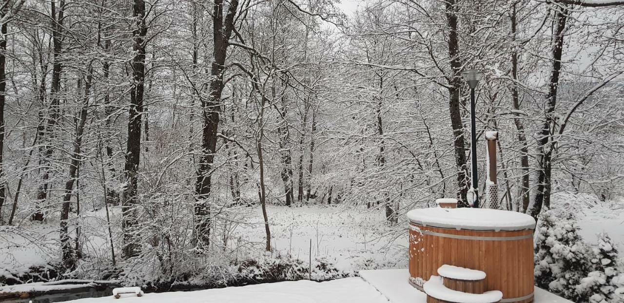 Vodenica Vrelo Chalets Vrelo Koreničko Exterior foto